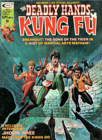 Deadly Hands of Kung Fu Cover